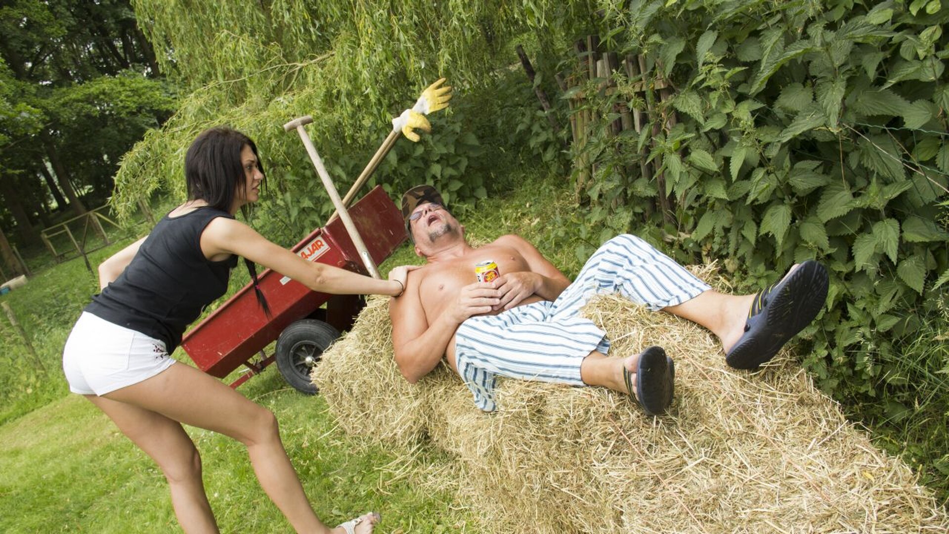 The Farmer`s Dream